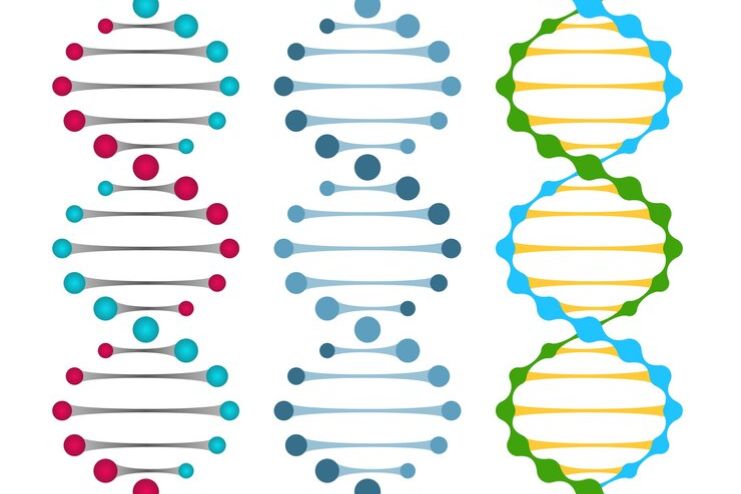 Genetic Variants and Associations