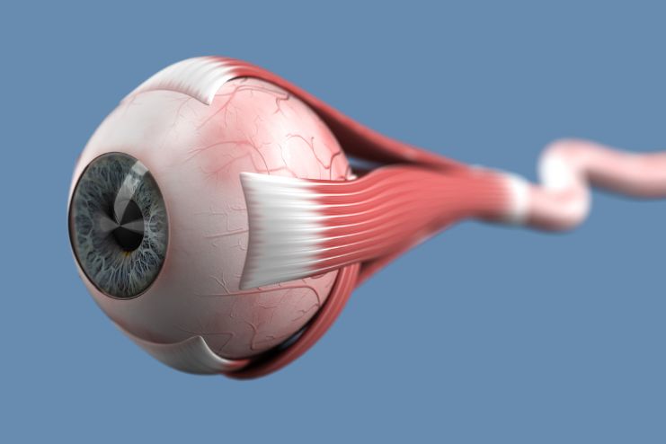 How Diabetes Impacts Vision
