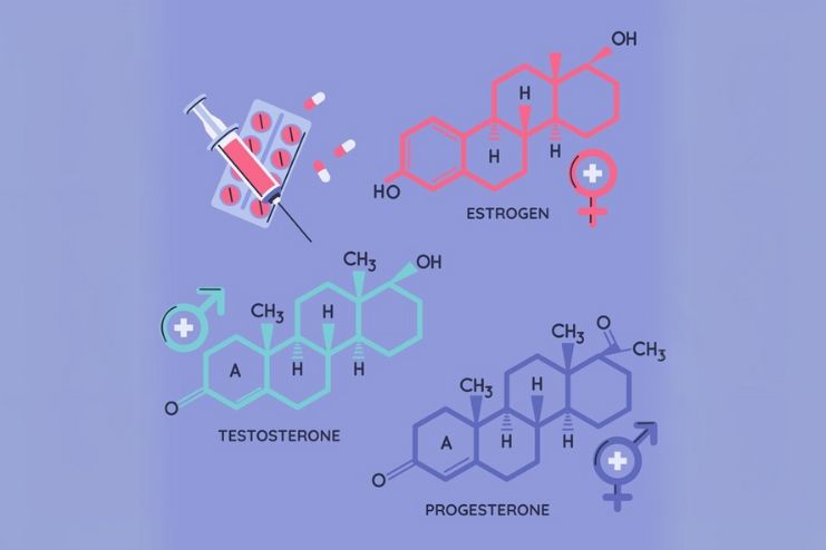 Sex Hormones