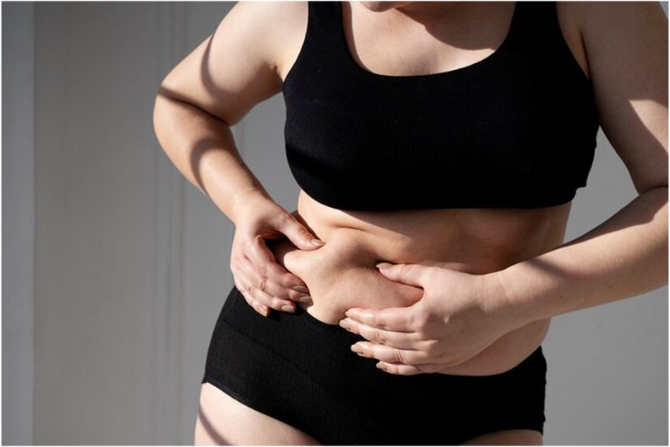 The Role of Visceral Fat