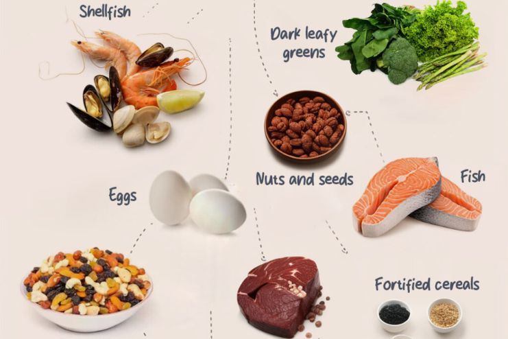 Iron-Rich Foods