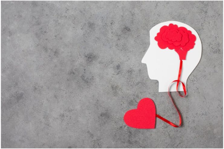 Science Behind Empathy and Energy Absorption