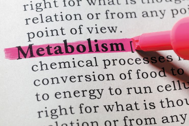 The Role of Vitamins in Metabolism