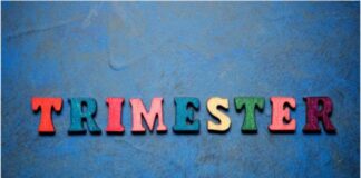 Understanding the Different Trimesters: Changes and Milestones Understanding the Different Trimesters
