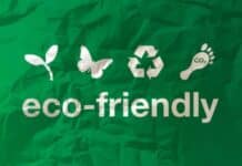 4 Eco-Friendly Food Packaging Options: What to Choose and What to Avoid Eco Friendly