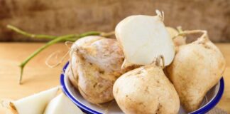 Jicama Health Benefits – Why This Crunchy Superfood Deserves a Spot in Your Diet Jicama Health Benefits