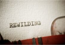 Rewilding for Mental Health: Why Spending Time in Nature Heals the Mind Rewilding for Mental Health