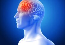 The Dopamine Detox: Can Resetting Your Brain Supercharge Motivation? The Dopamine Detox