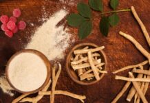 Why More People Are Turning to Ashwagandha Gummies for Stress Relief Ashwagandha Gummies for Stress Relief