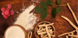Why More People Are Turning to Ashwagandha Gummies for Stress Relief Ashwagandha Gummies for Stress Relief