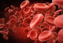 Boost Your Platelets Naturally: The Best Foods to Eat Boost Your Platelets Naturally