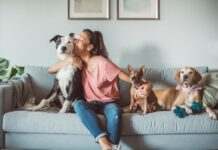 Depression and Pets: 6 Furry Companions That Can Bring Joy and Support Depression and pets