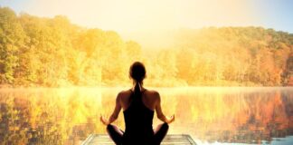 Silent Workouts: Can Low-Impact Exercises Be Just as Effective? Silent Workouts