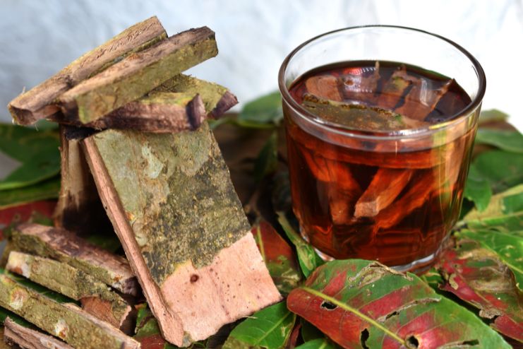 Ayurveda for Asthma Relief