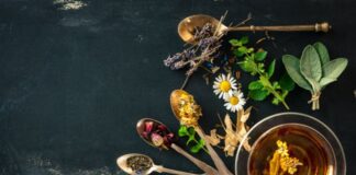 Best Teas to Drink After Meals for Better Digestion & Slimming Best Teas to Drink After Meals for Better Digestion
