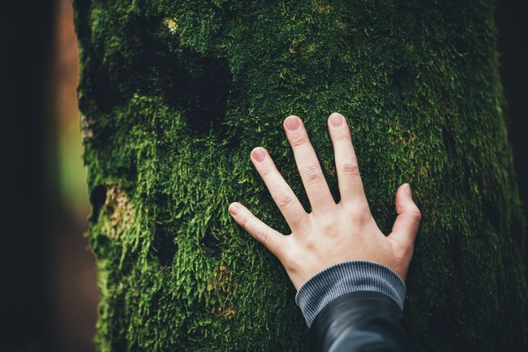 Connect with Nature