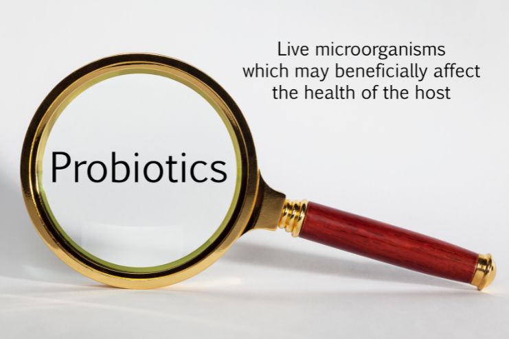 How Probiotics Work in the Gut