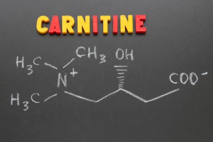 L-Carnitine