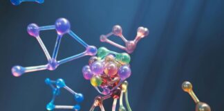 Are Lectins Actually Bad for You? The Truth About This Controversial Plant Compound Lectins bad for you