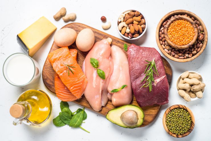 Protein Vs Fat