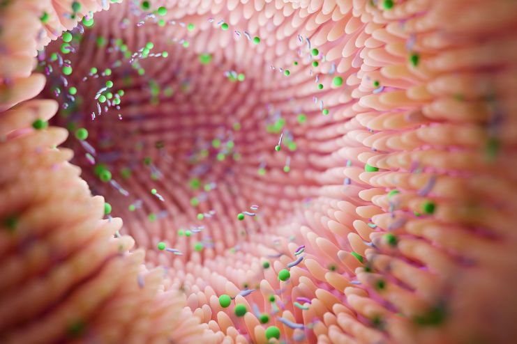 Reduced Gut Microbial Diversity