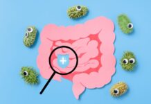 The Rise of Postbiotics: What They Are and Why They Matter Rise of Postbiotics