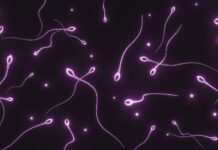 Semen Quality Is Declining Worldwide – What Can Men Do to Protect Their Fertility? Semen Quality