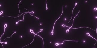 Semen Quality Is Declining Worldwide – What Can Men Do to Protect Their Fertility? Semen Quality