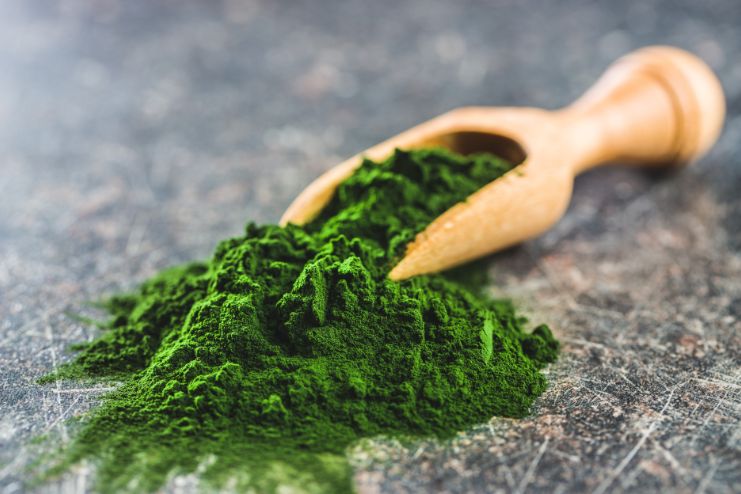 Spirulina is a blue-green alga that grows in hot