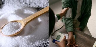 The Link Between Salt Intake and Hypertension Explained The Link Between Salt Intake and Hypertension Explained
