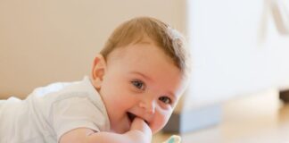 Is Your Toddler’s Diet Missing These Crucial Brain-Boosting Nutrients? Toddler's Diet Missing
