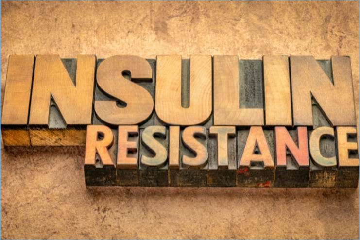 What is Insulin Resistance