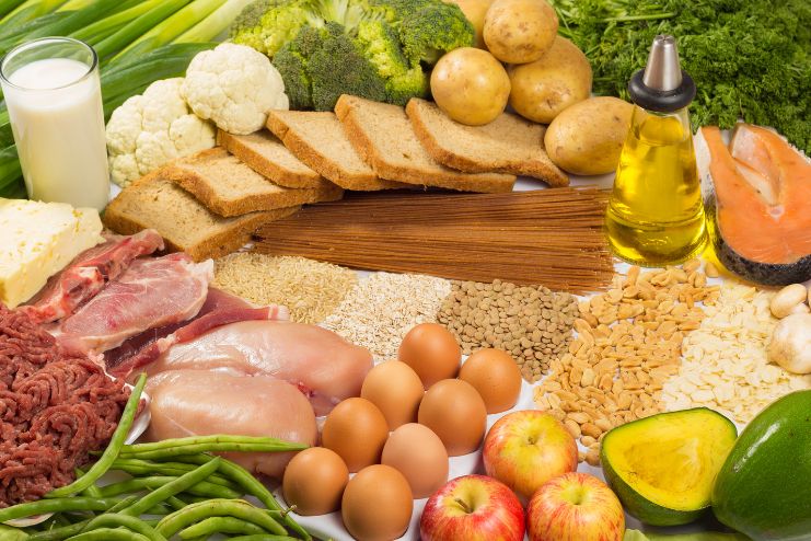 Adapting Macronutrient intake