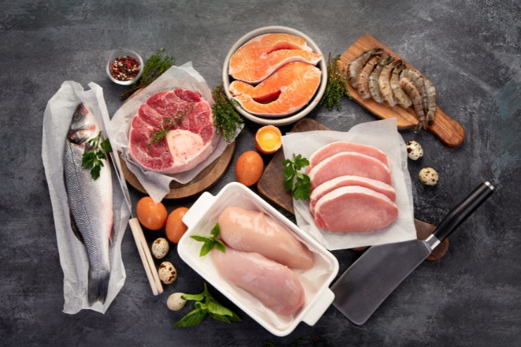 Carnivore diet Claimed Benefits
