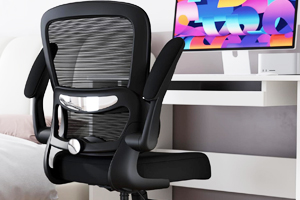 Ergonomic Desk Chair