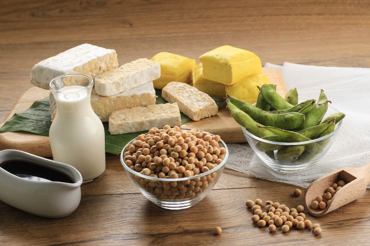 Foods for Healthy Guts