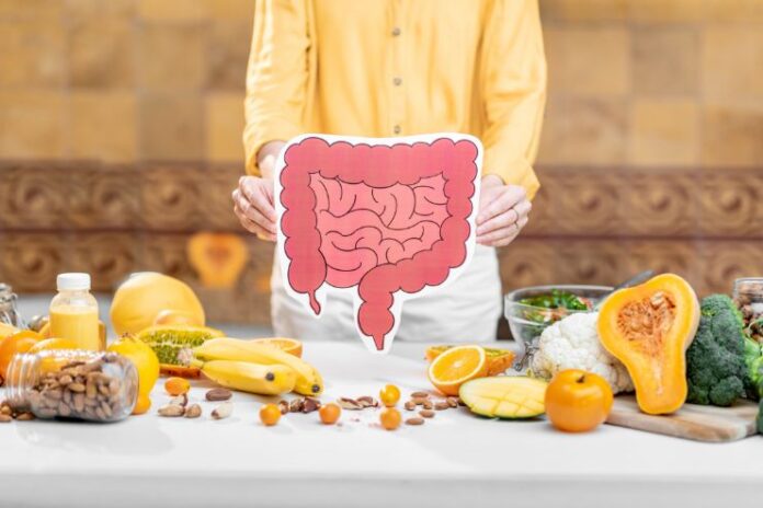 Gut Health and Diet
