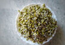 How Sprouts Help You Lose Weight (If You Eat Them This Way) How Sprouts Help You Lose Weight