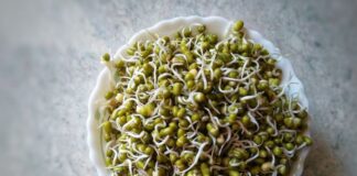 How Sprouts Help You Lose Weight (If You Eat Them This Way) How Sprouts Help You Lose Weight