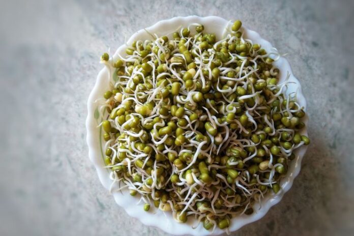 How Sprouts Help You Lose Weight