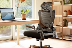 Marsail Ergonomic Office Chair