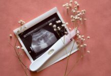 Pregnancy Wellness Kits: 5 All-in-One Packages for Supporting Mom-to-Be Health Pregnancy Wellness Kits