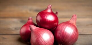 Can Including Raw Onions in Your Diet Accelerate Weight Loss? Can Including Raw Onions in Your Diet Accelerate Weight Loss