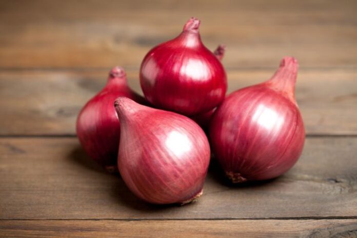 Can Including Raw Onions in Your Diet Accelerate Weight Loss