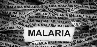 Can You Get Malaria More Than Once? Understanding Immunity & Relapse Can you get Malaria