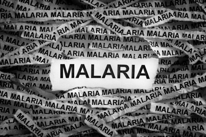 Can you get Malaria