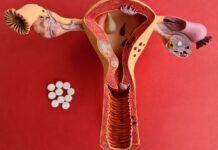 Egg Quality vs. Quantity: What Matters More for Conception? Egg Quality vs Quantity