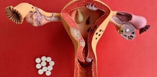 Egg Quality vs. Quantity: What Matters More for Conception? Egg Quality vs Quantity