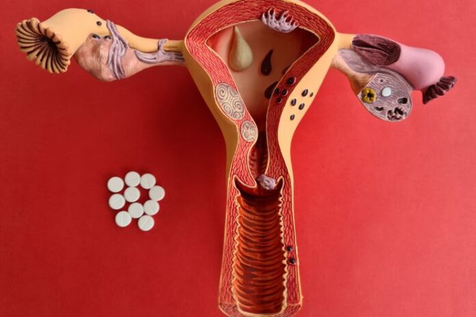 Egg Quality vs Quantity