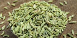 Fennel Seeds After Meals: Just a Digestive or a Slimming Hack Too? Fennel Seeds After Meals